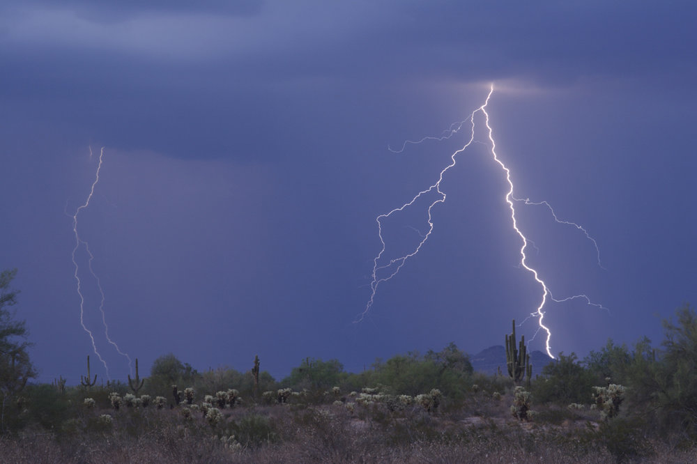 In Celebration of Our Summer Storms