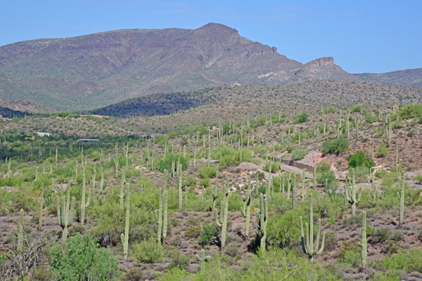 Continental Mountain Estates Lot 9