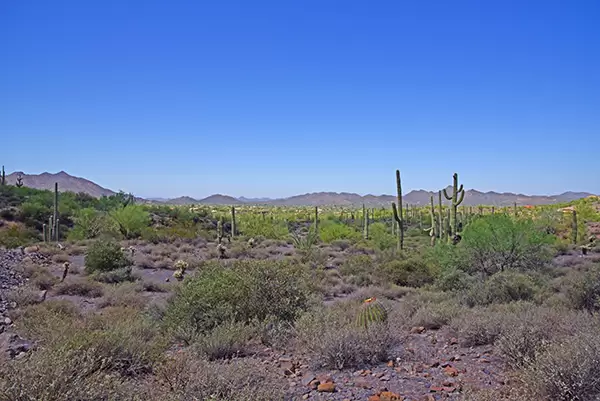 Continental Mountain Estates Lot 12