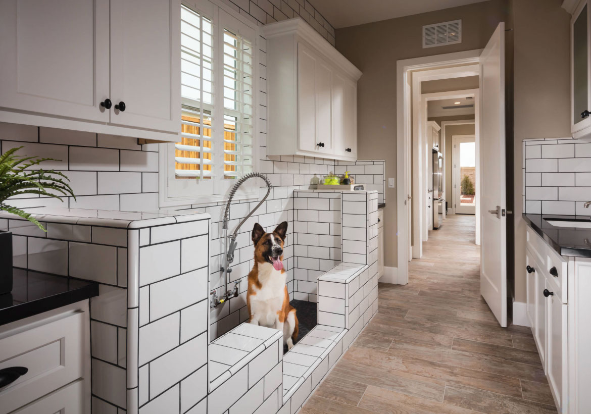Creating the Ultimate Pet-Friendly Home
